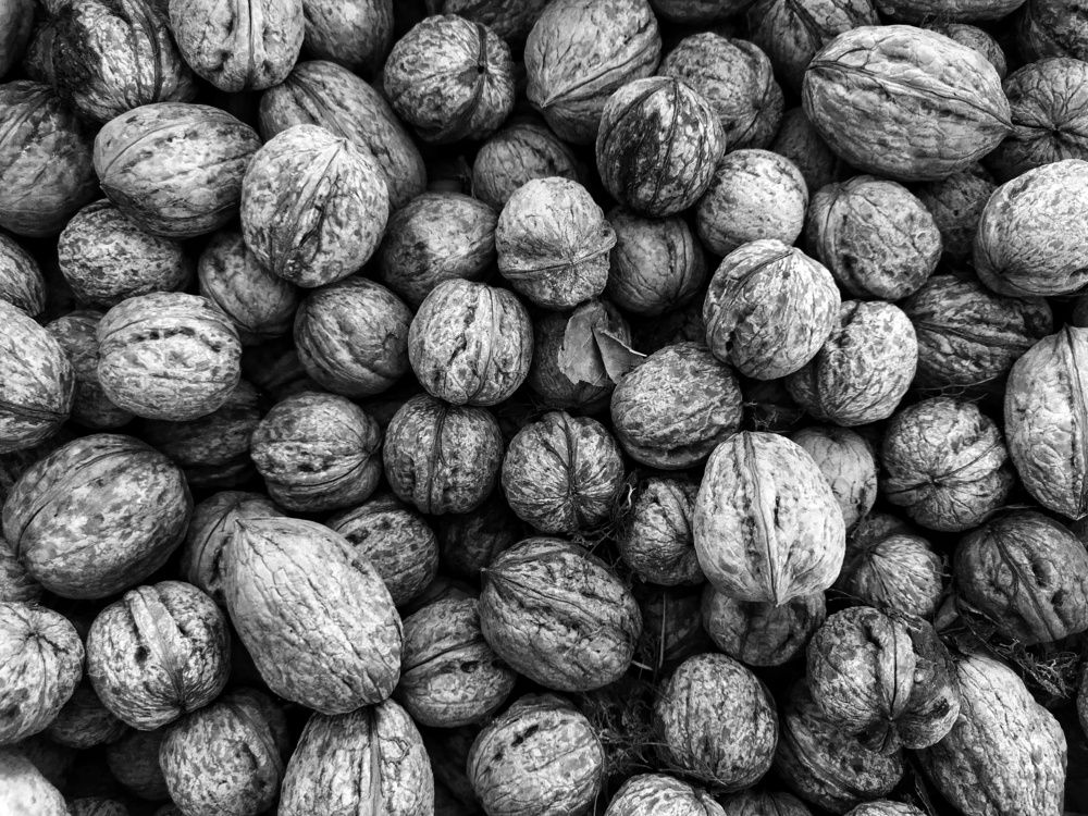 Photograph by Petar Atanasov