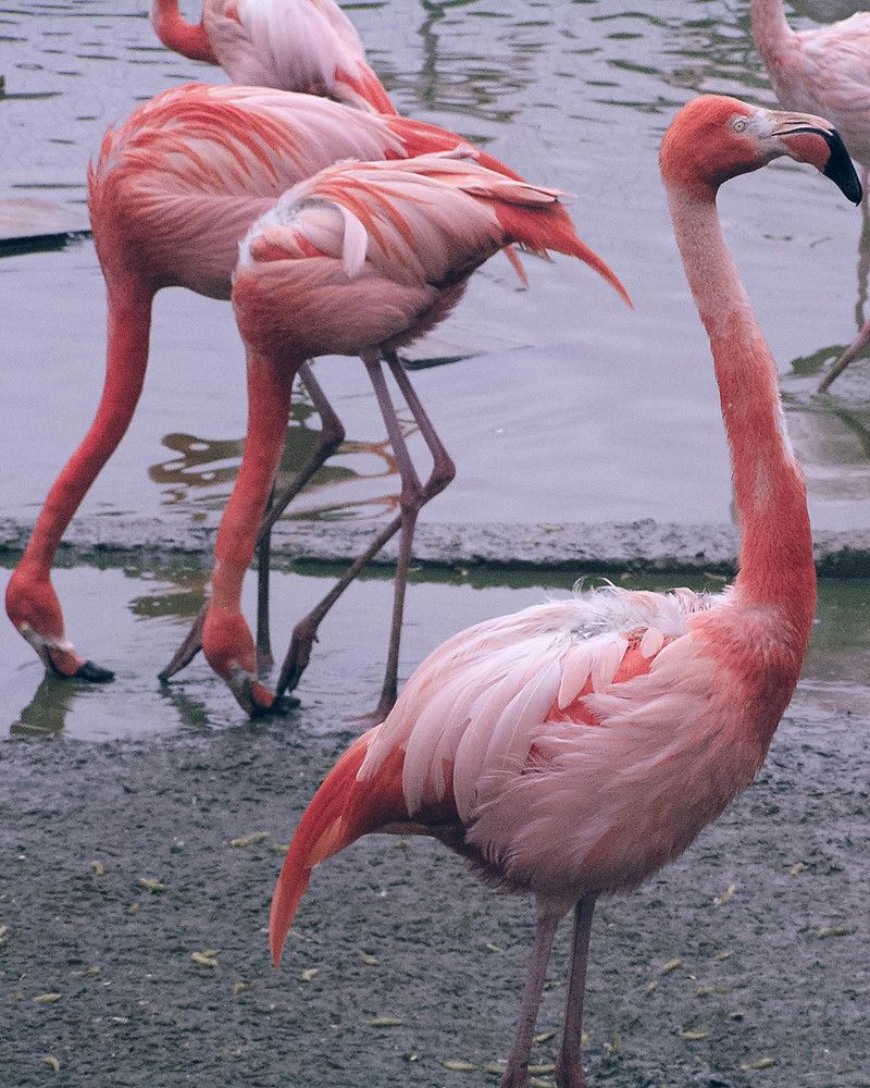 Photograph by Татьяна Носкович