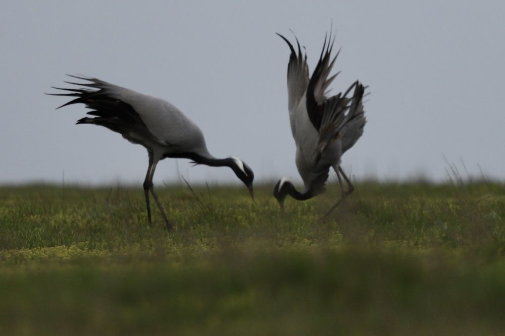 Photograph by Виктор Владимиров