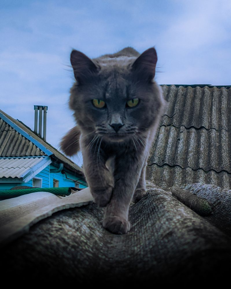 Photograph by Валерий Рожков