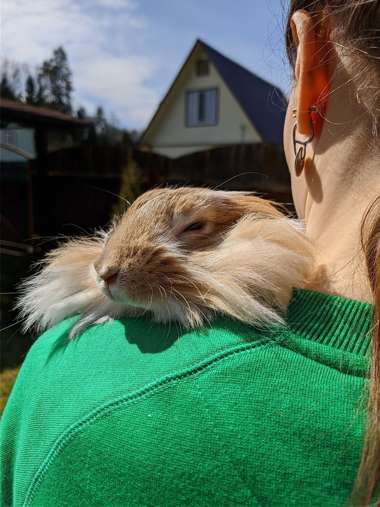 Photograph by Валерий Рожков