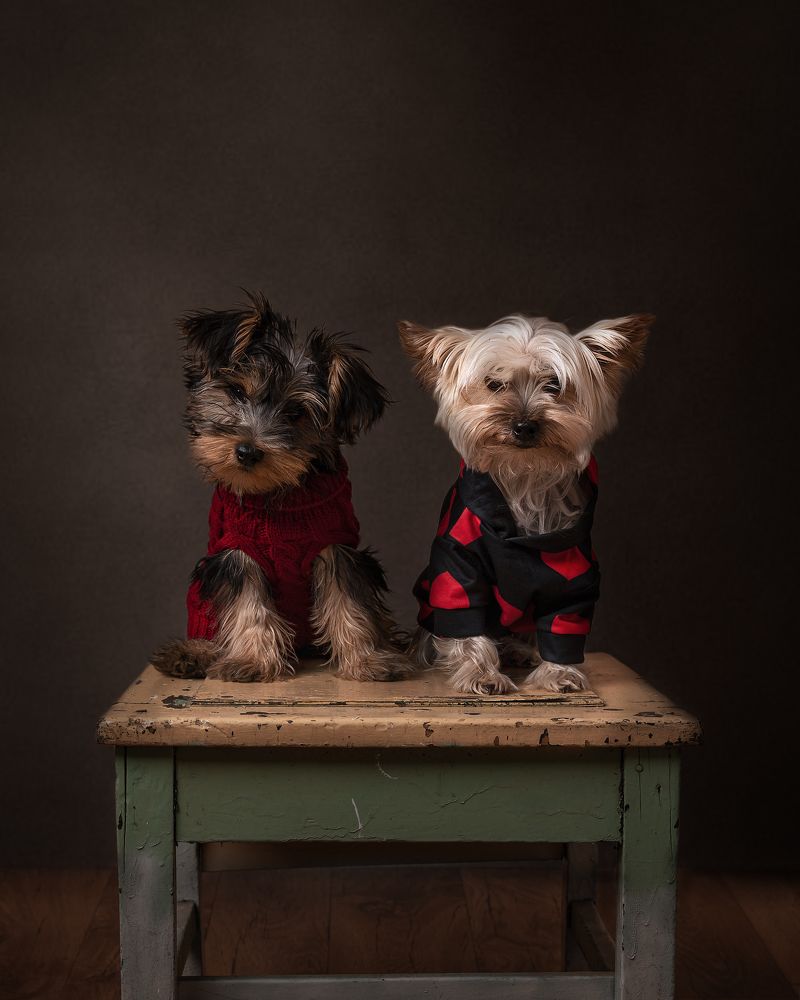 Photograph by Paula de Oliver