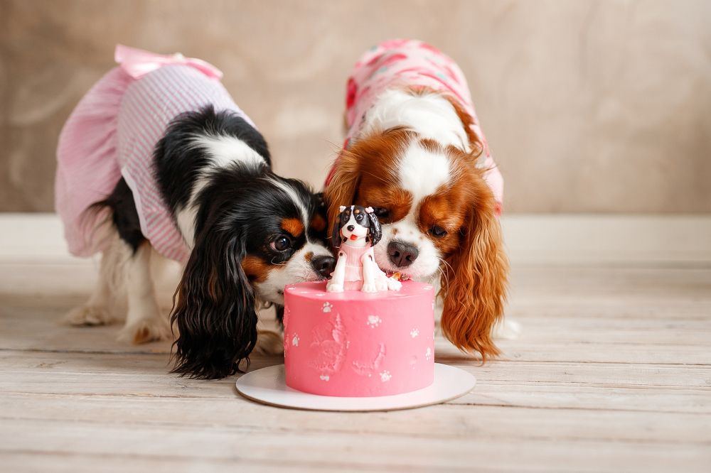 Photograph by Полина Сергеевна