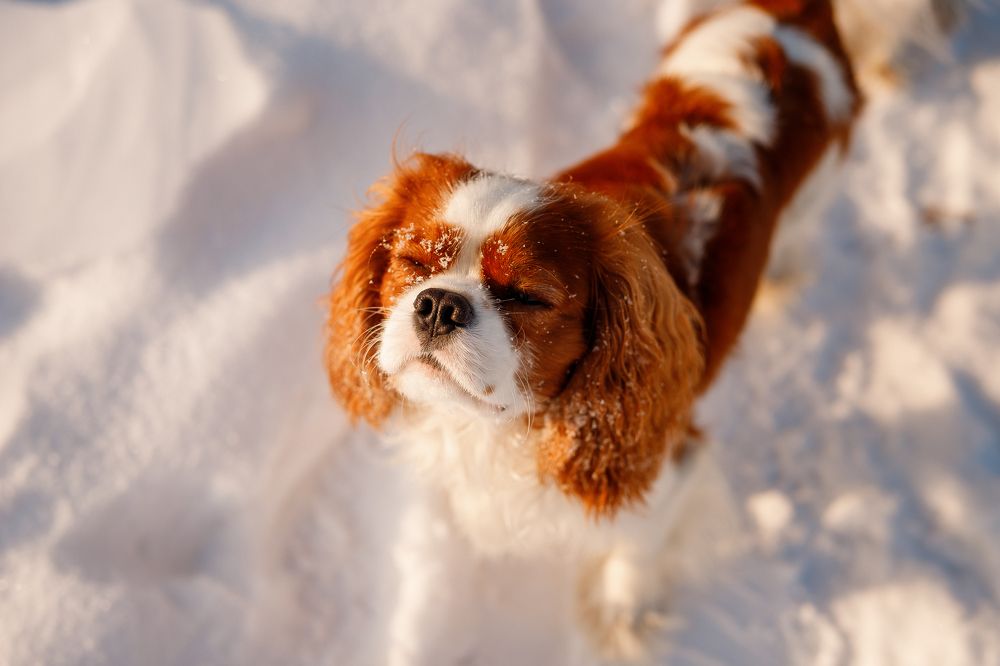 Photograph by Полина Сергеевна