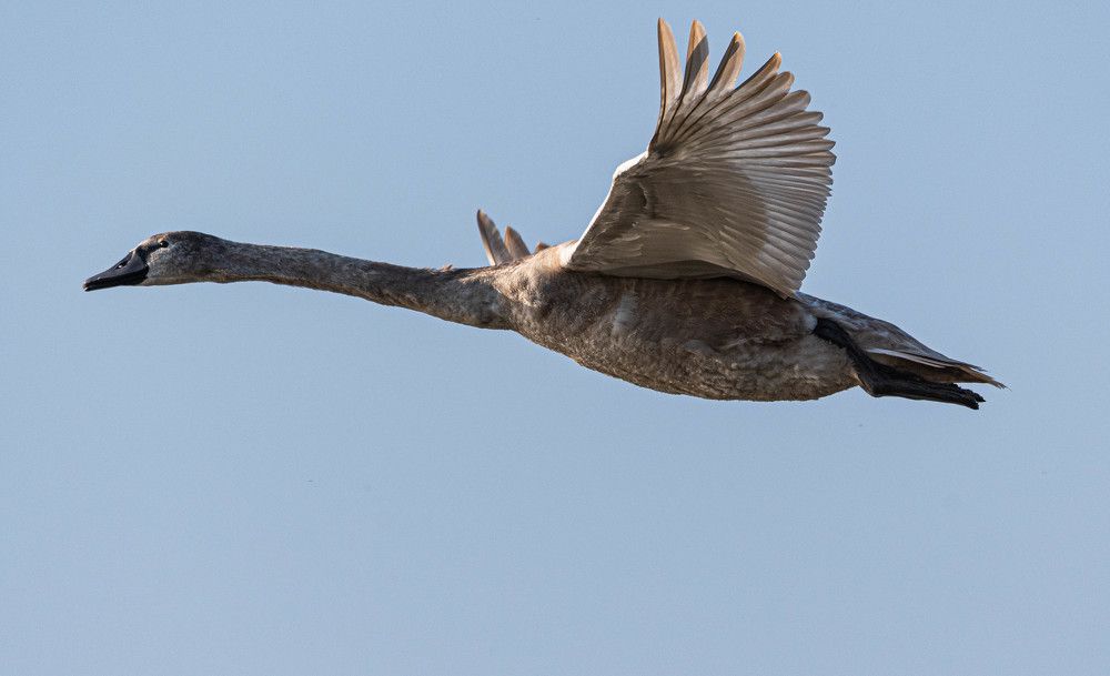 Фотография автора Marek Horňák