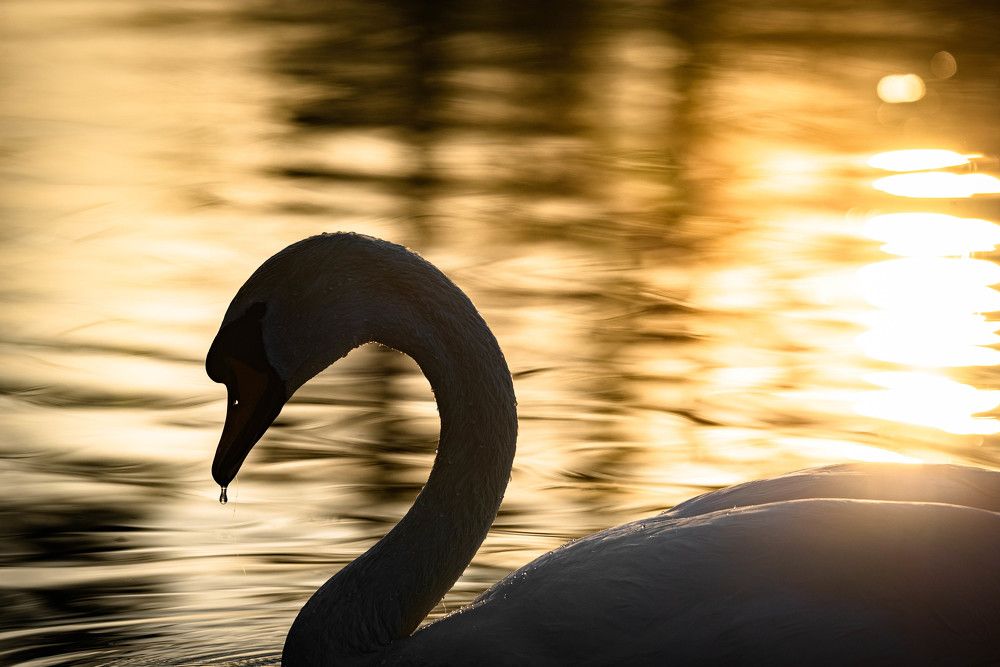 Фотография автора Marek Horňák