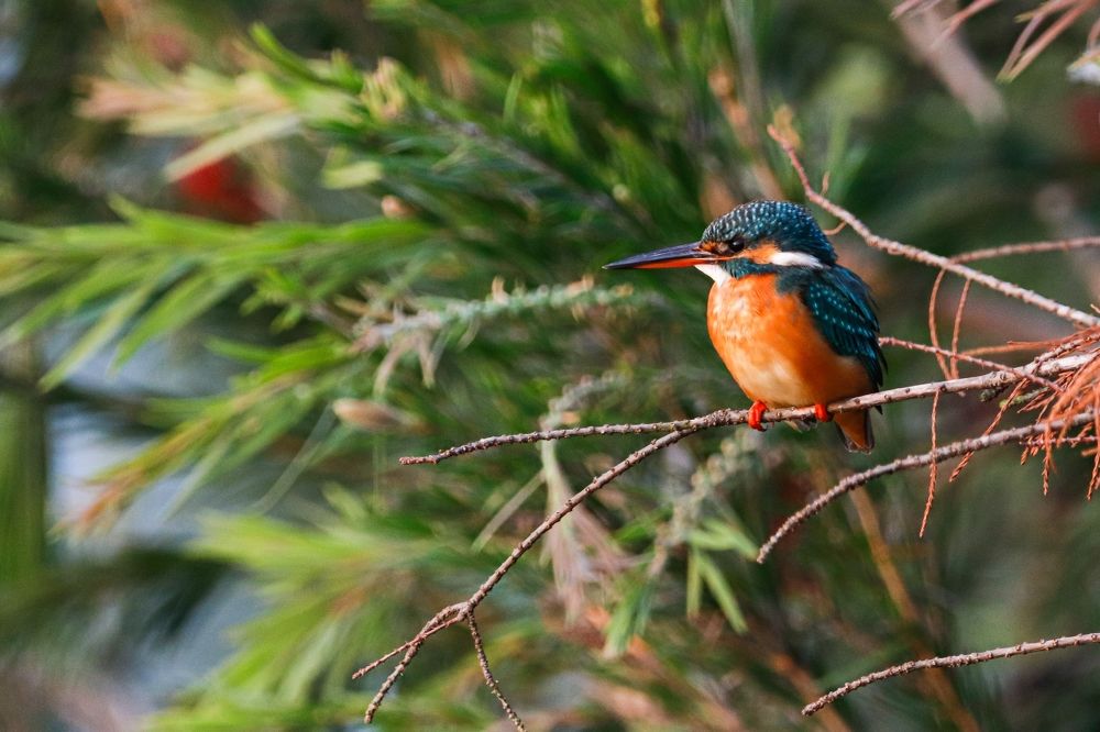 Фотография автора Ivan Logvynenko