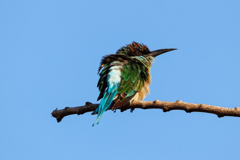 Фотография автора Ivan Logvynenko