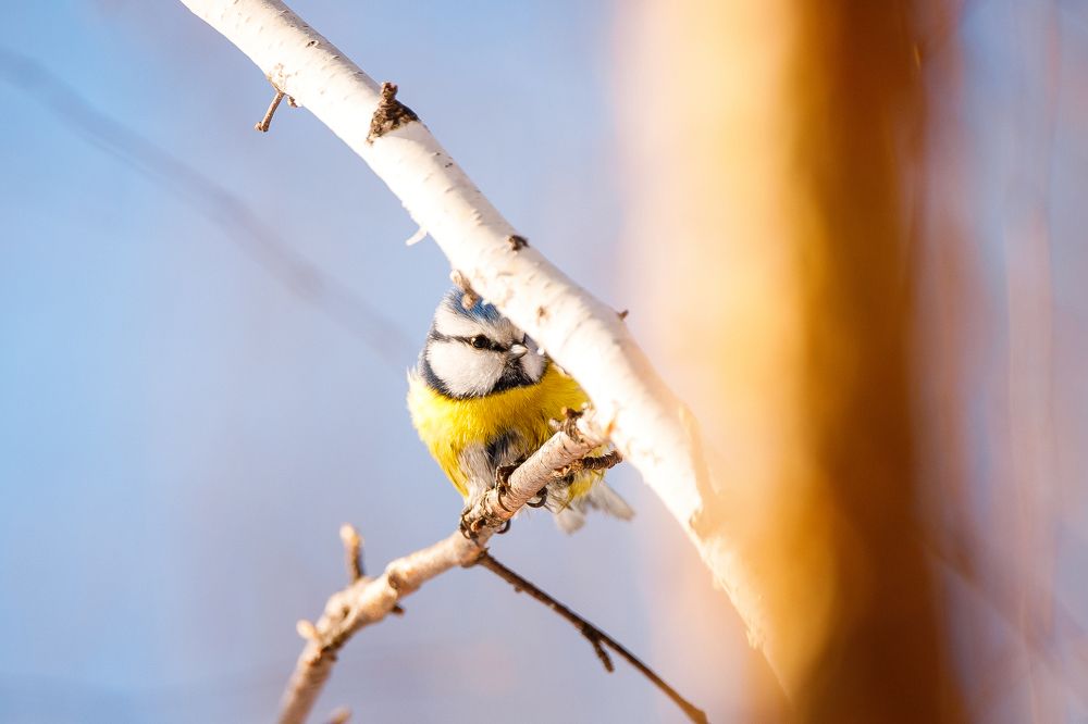 Photograph by Полина Сергеевна