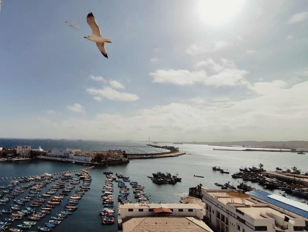 Photograph by Mohamed Kaouche