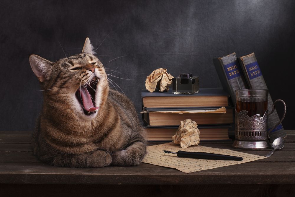 Photograph by Максим Вышарь