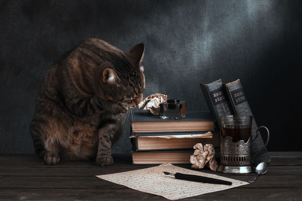 Photograph by Максим Вышарь