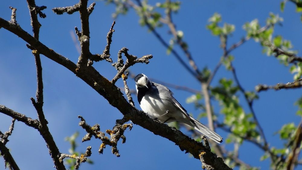 Photograph by Олика