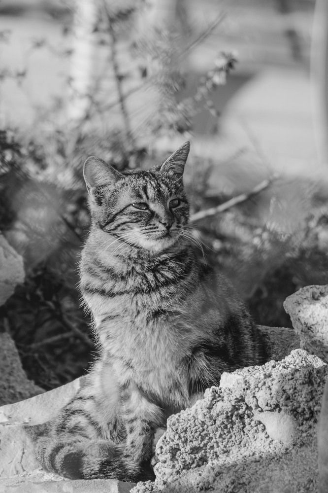 Photograph by Raesi Ayda