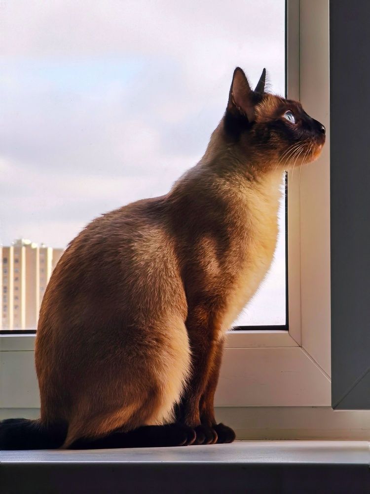 Photograph by Олика