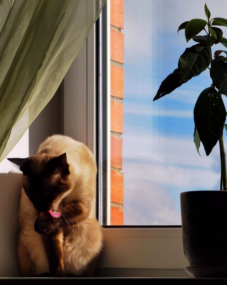 Photograph by Олика