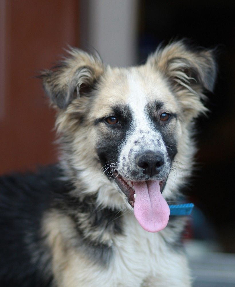 Photograph by Татьяна Леонтьева