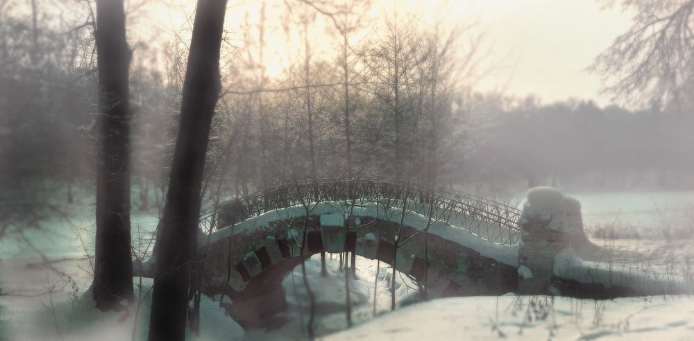 Фотография автора Дмитрий Нефёдов