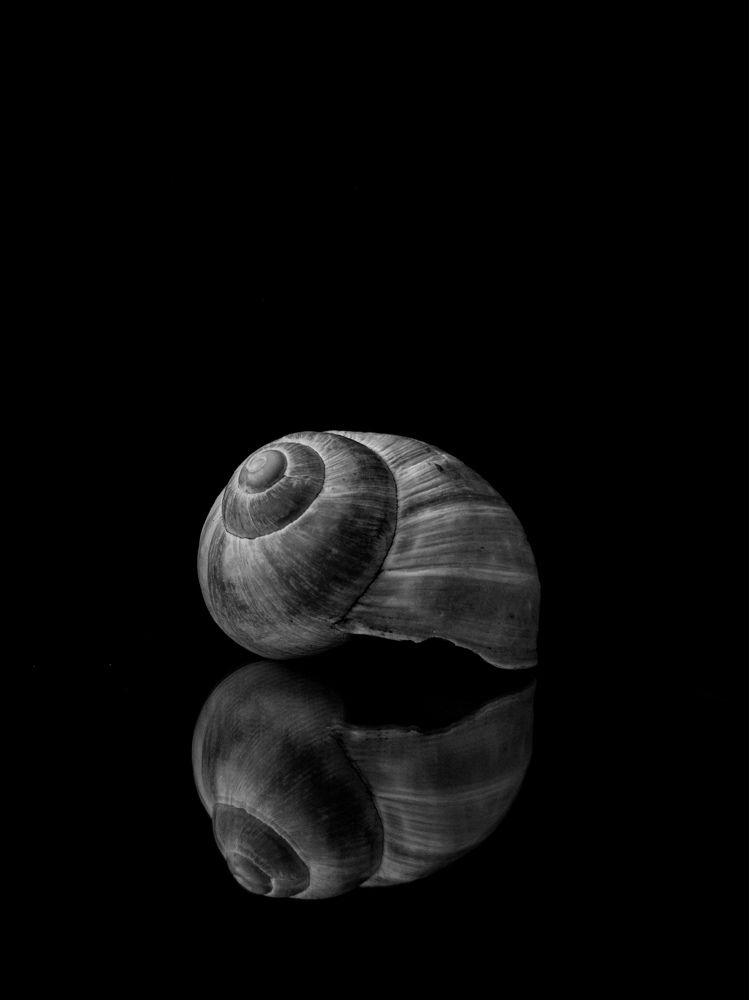 Photograph by Алексей Крукович