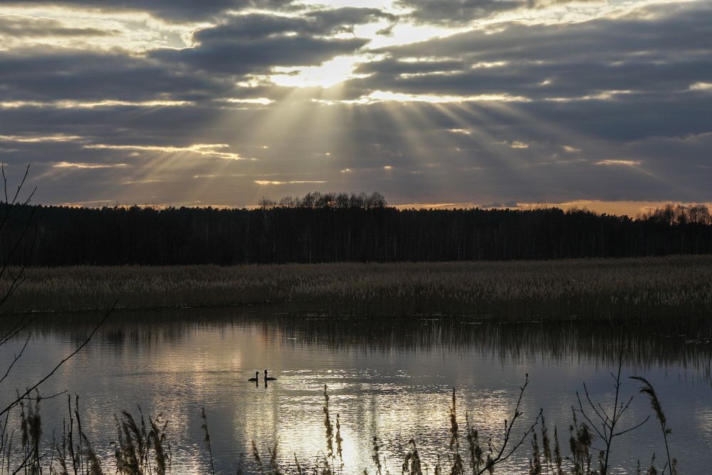 Photograph by Владимир Орлов