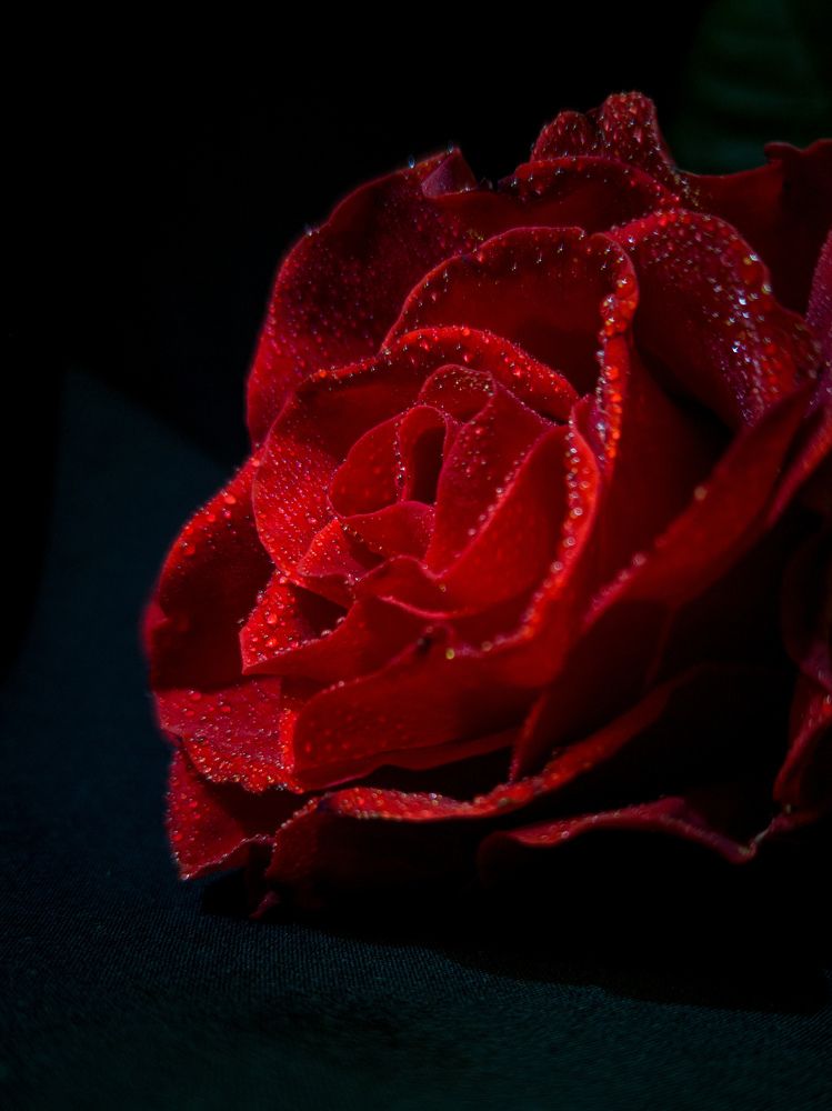 Photograph by Алексей Крукович