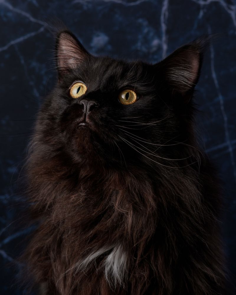 Photograph by Виталий Бодрягин