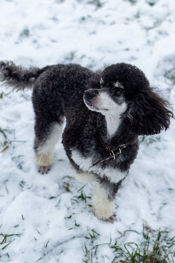 Photograph by Алексей Крукович