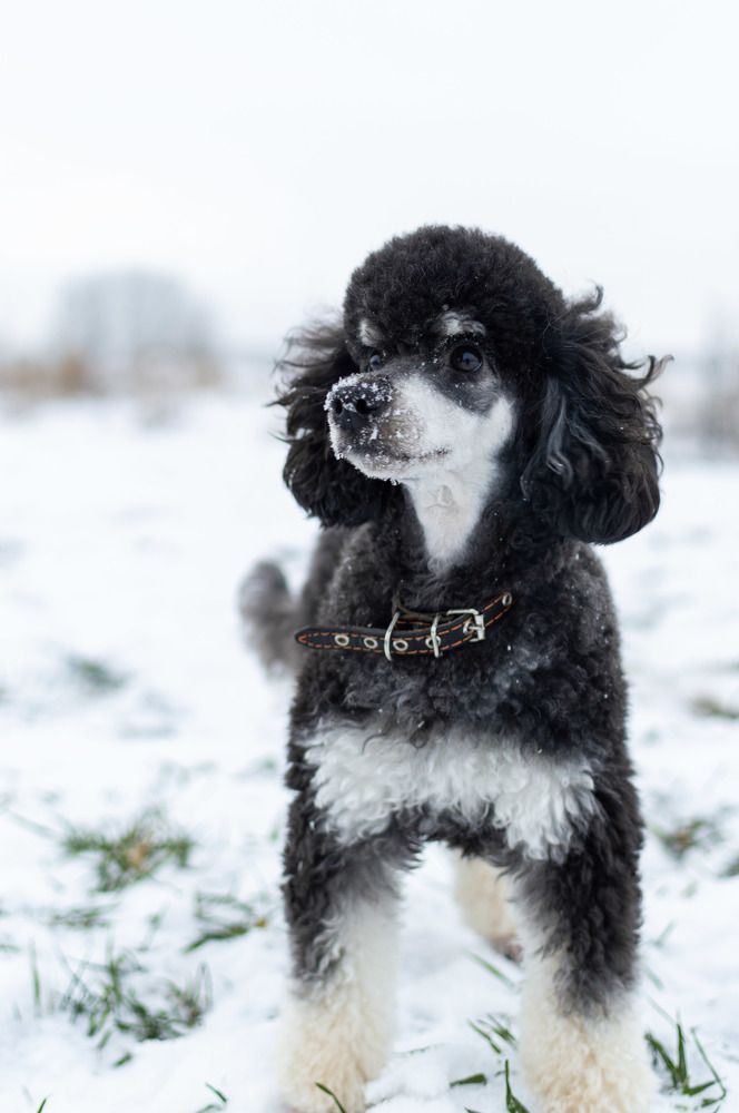 Photograph by Алексей Крукович