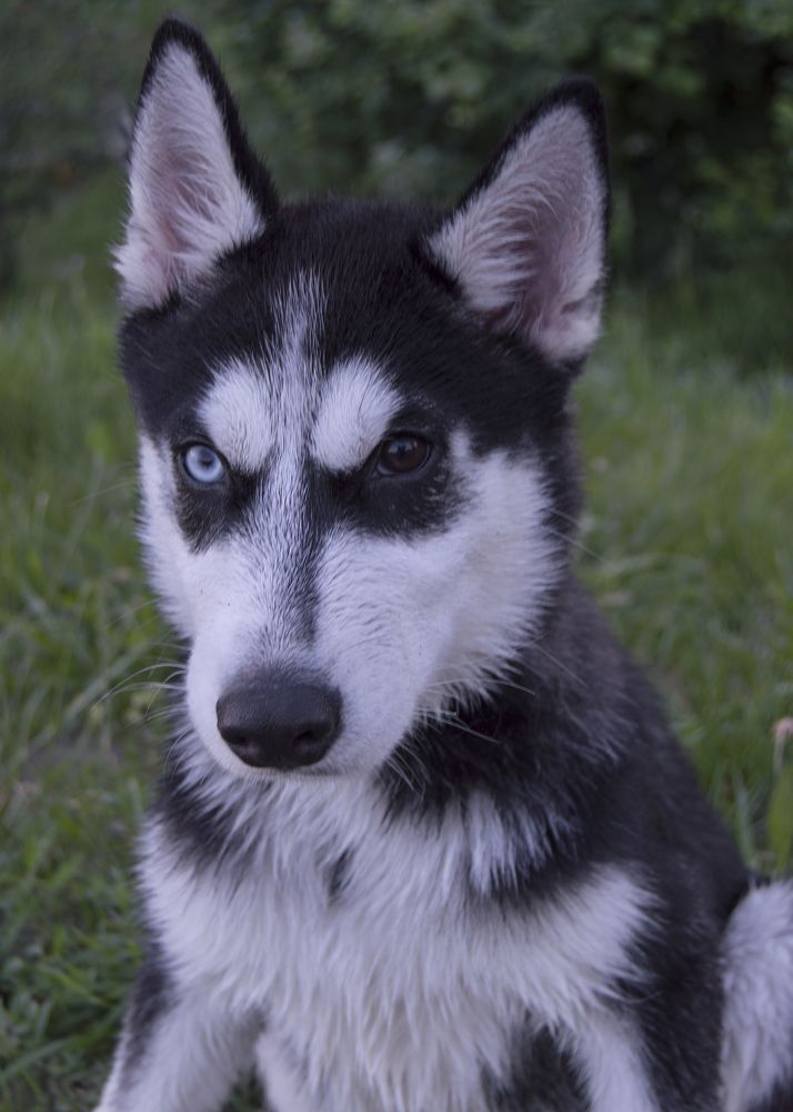 Photograph by Алексей Крукович