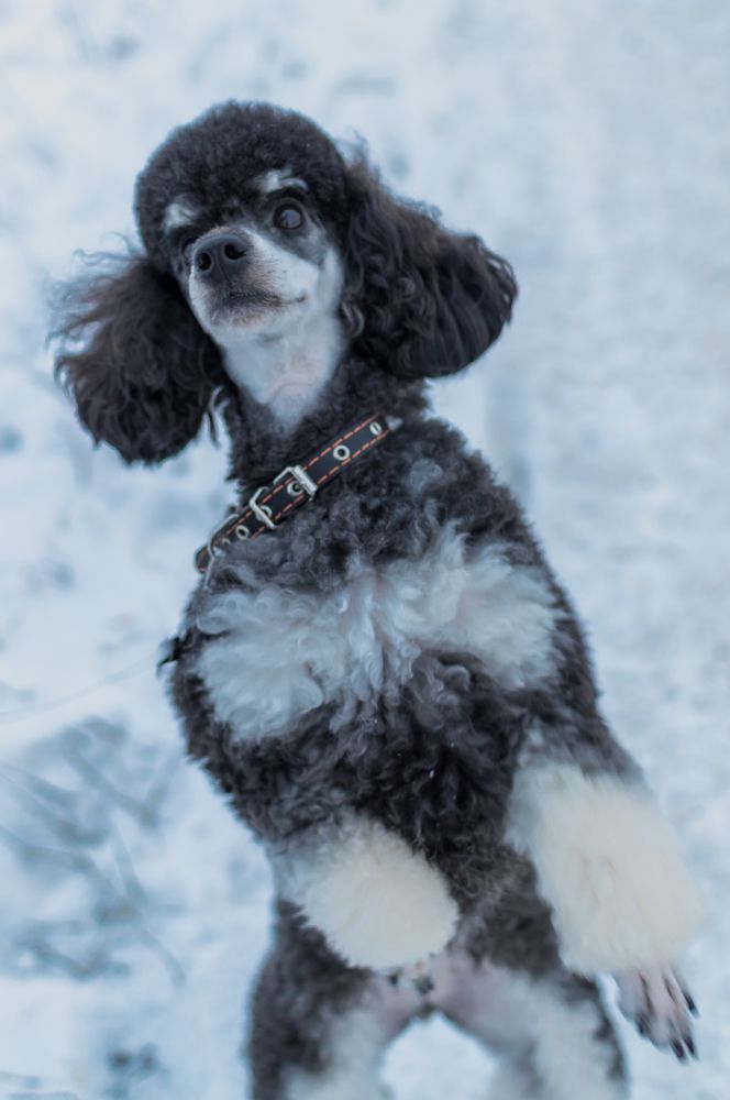 Photograph by Алексей Крукович