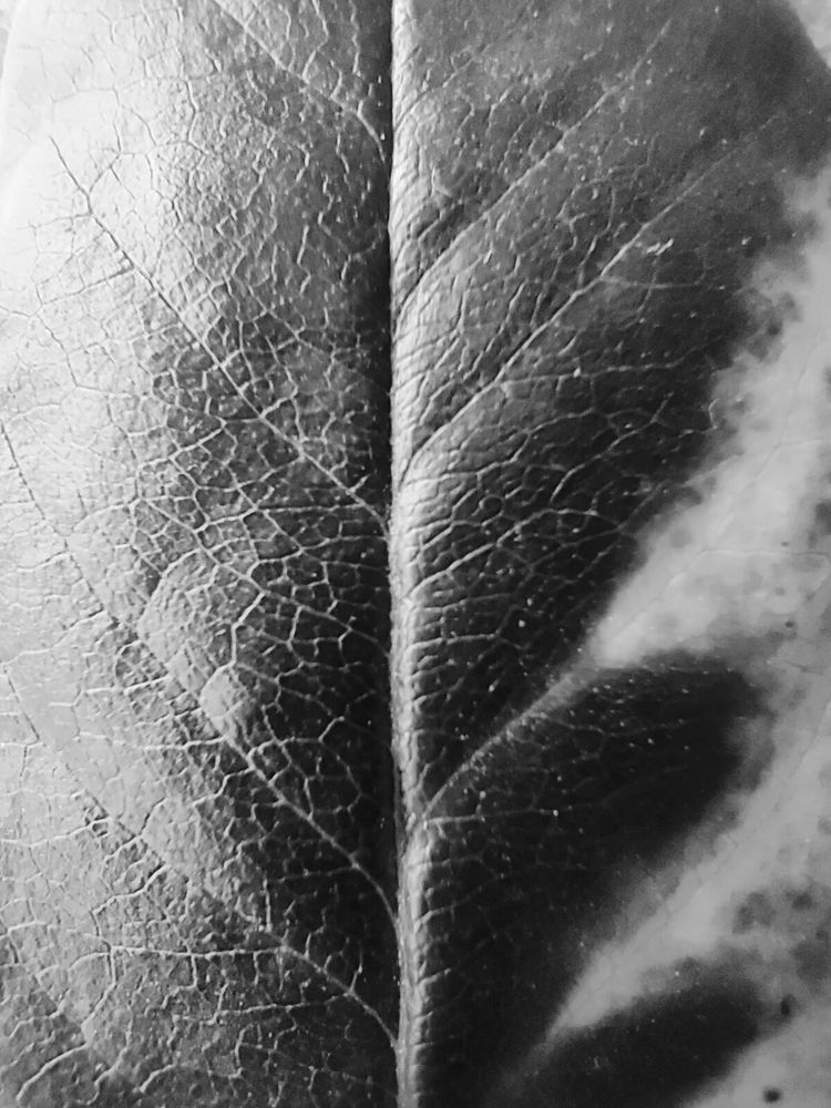 Photograph by Ольга