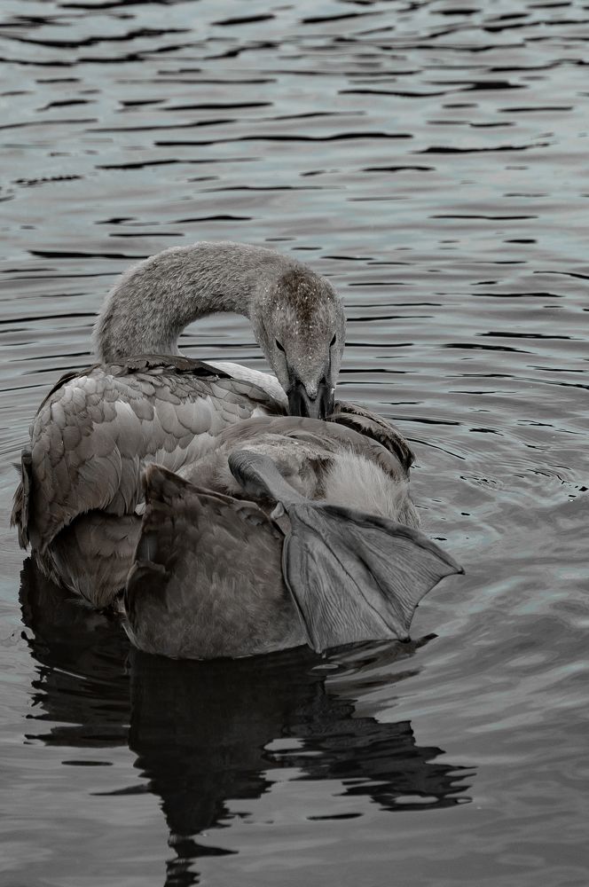 Photograph by Алексей Крукович