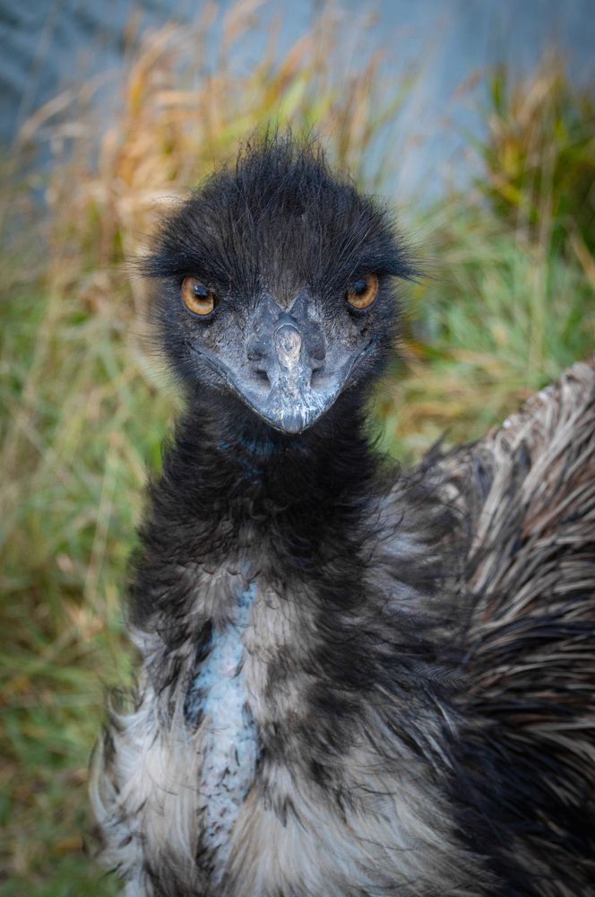 Photograph by Алексей Крукович