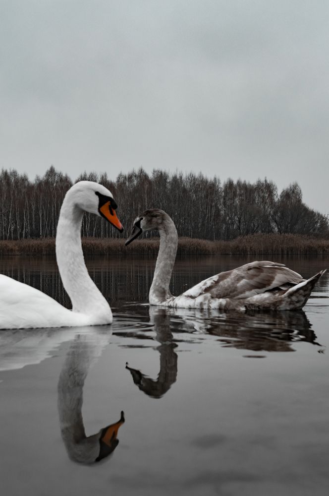 Photograph by Алексей Крукович