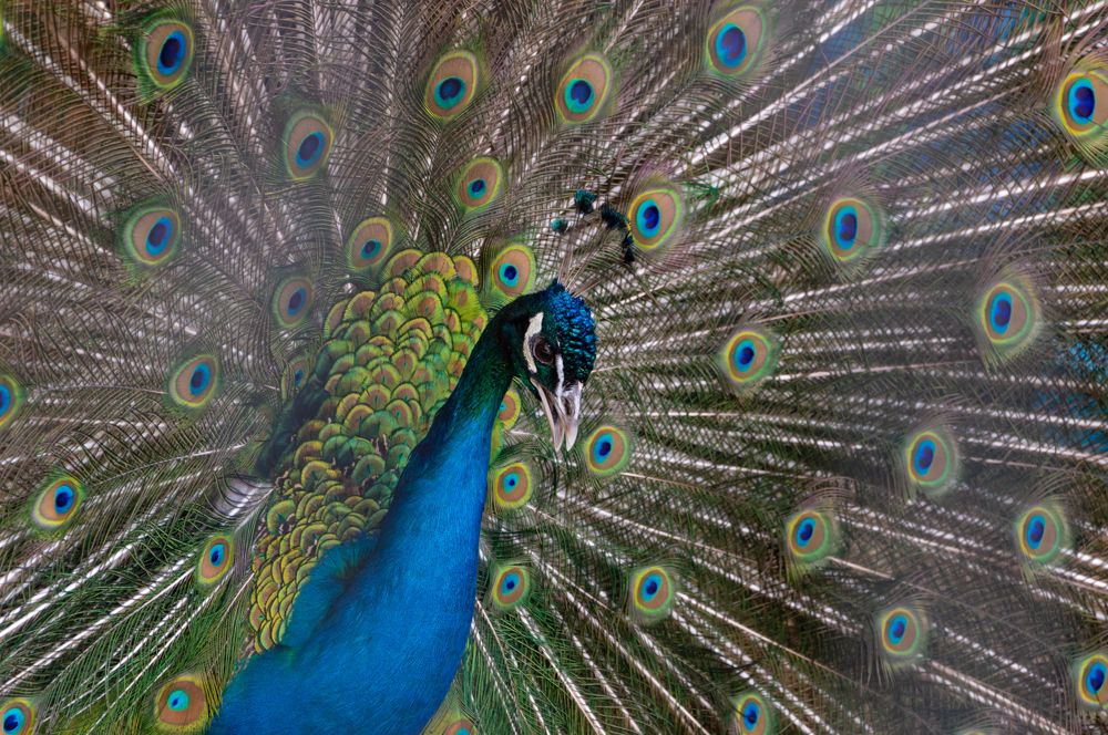 Photograph by Алексей Крукович