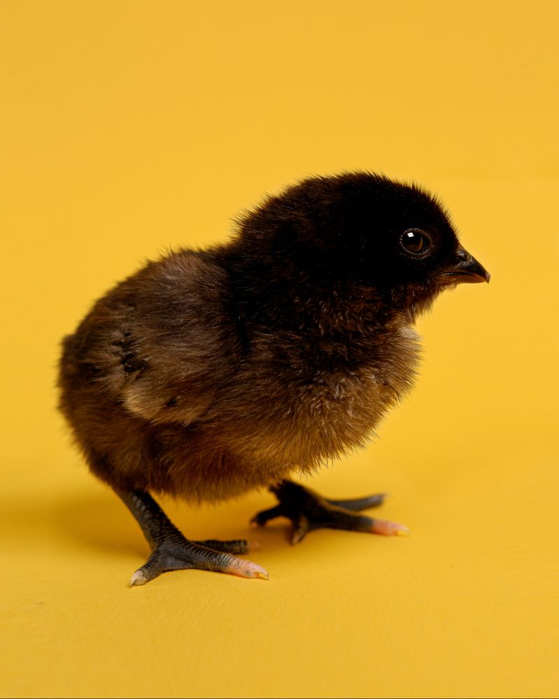 Photograph by Виталий Бодрягин