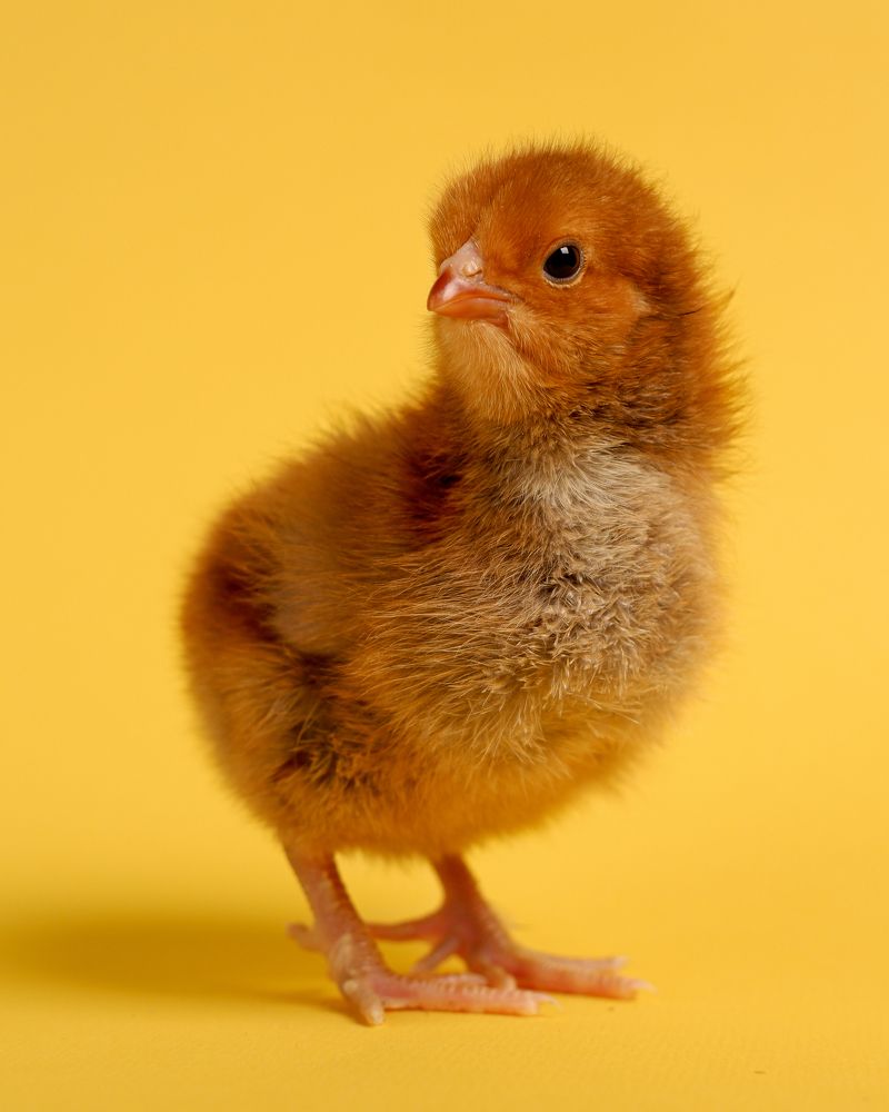 Photograph by Виталий Бодрягин