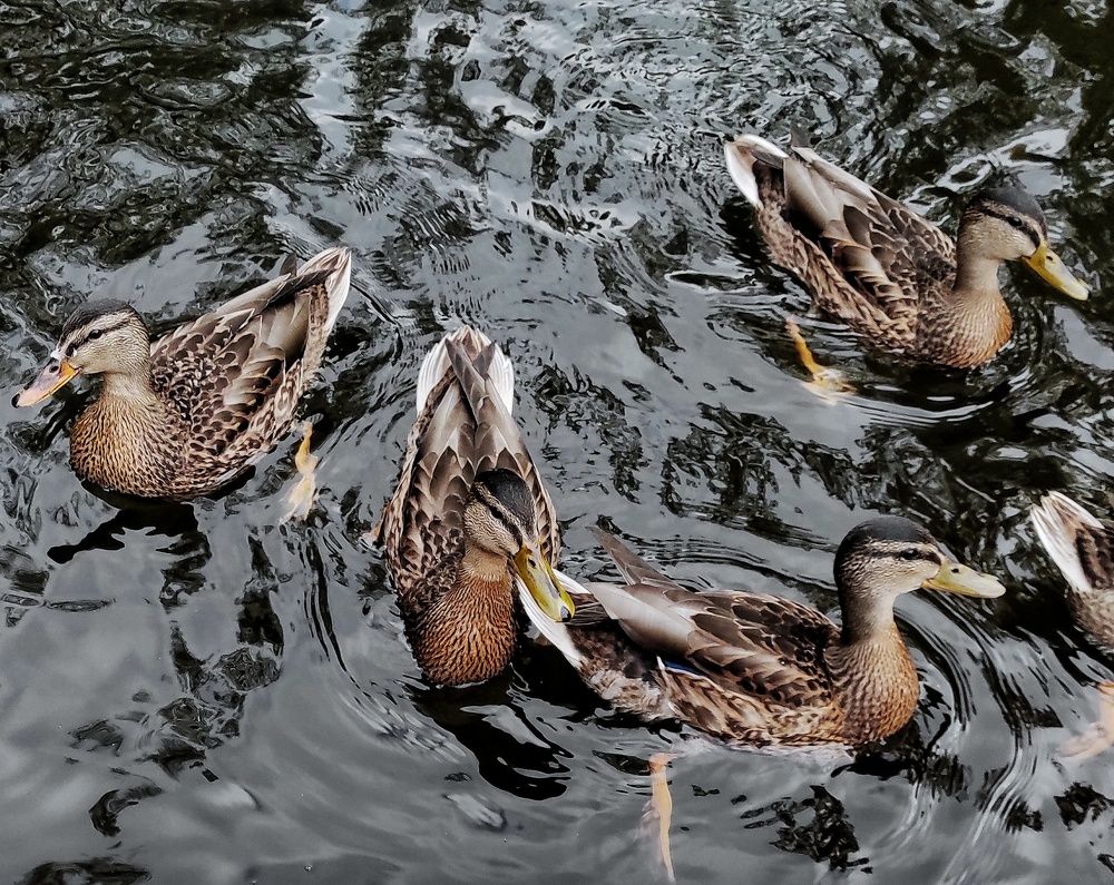 Photograph by Евгения Жданова