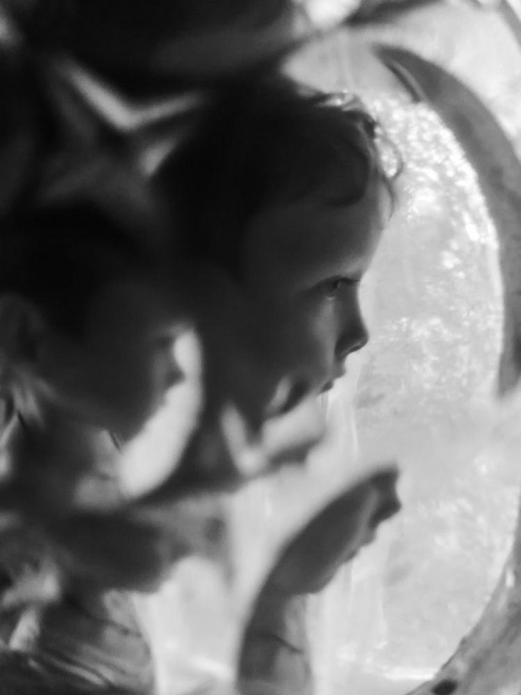 Photograph by Вера Олина