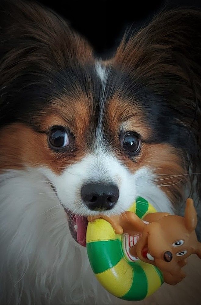 Photograph by Epp Tappel