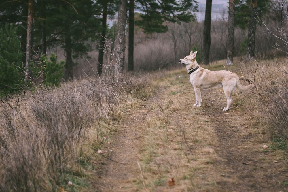 Photograph by Олег Архипов