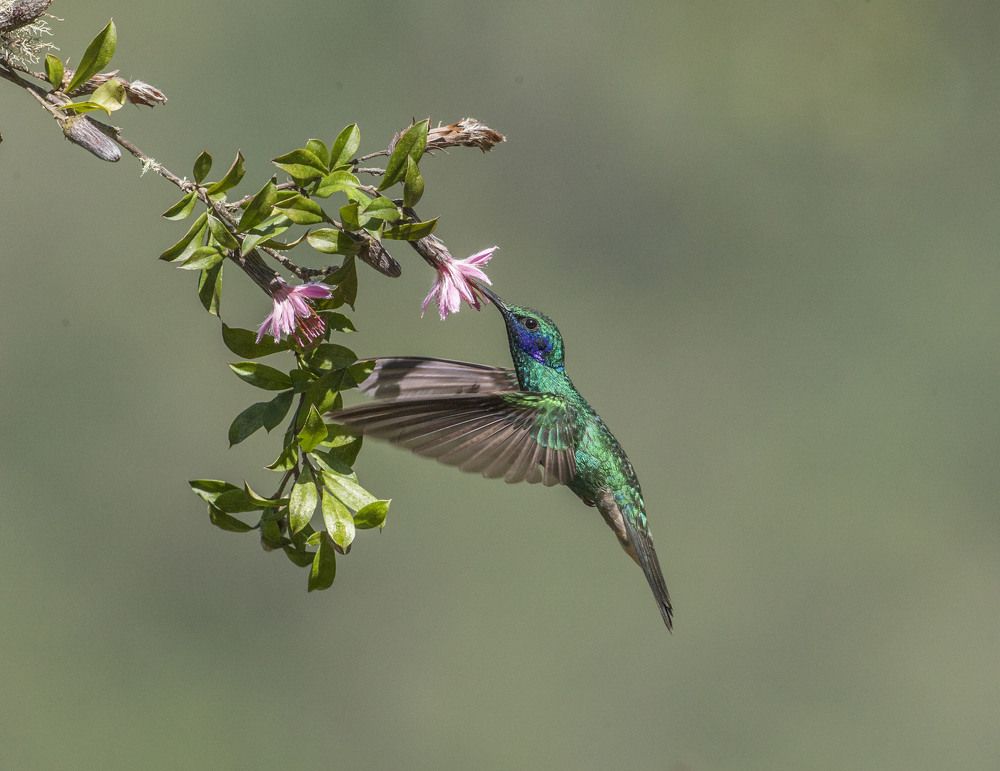 Фотография автора Oskars Smelins