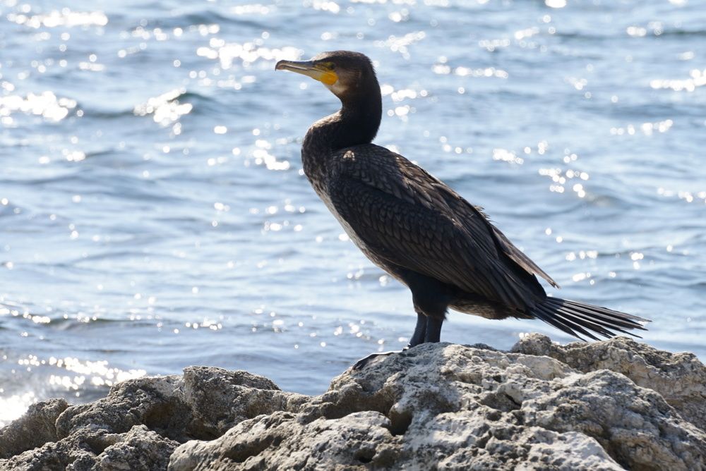 Photograph by Эвелина Моисеева