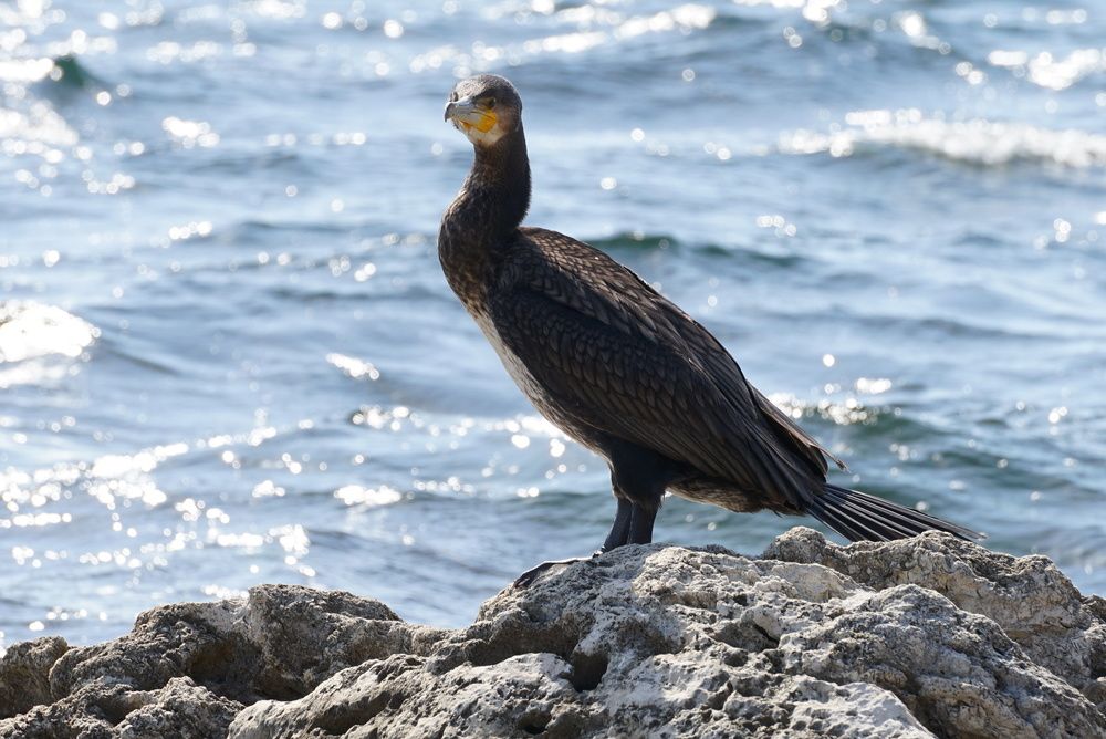 Photograph by Эвелина Моисеева