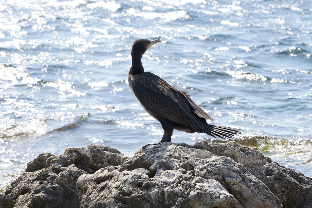 Photograph by Эвелина Моисеева