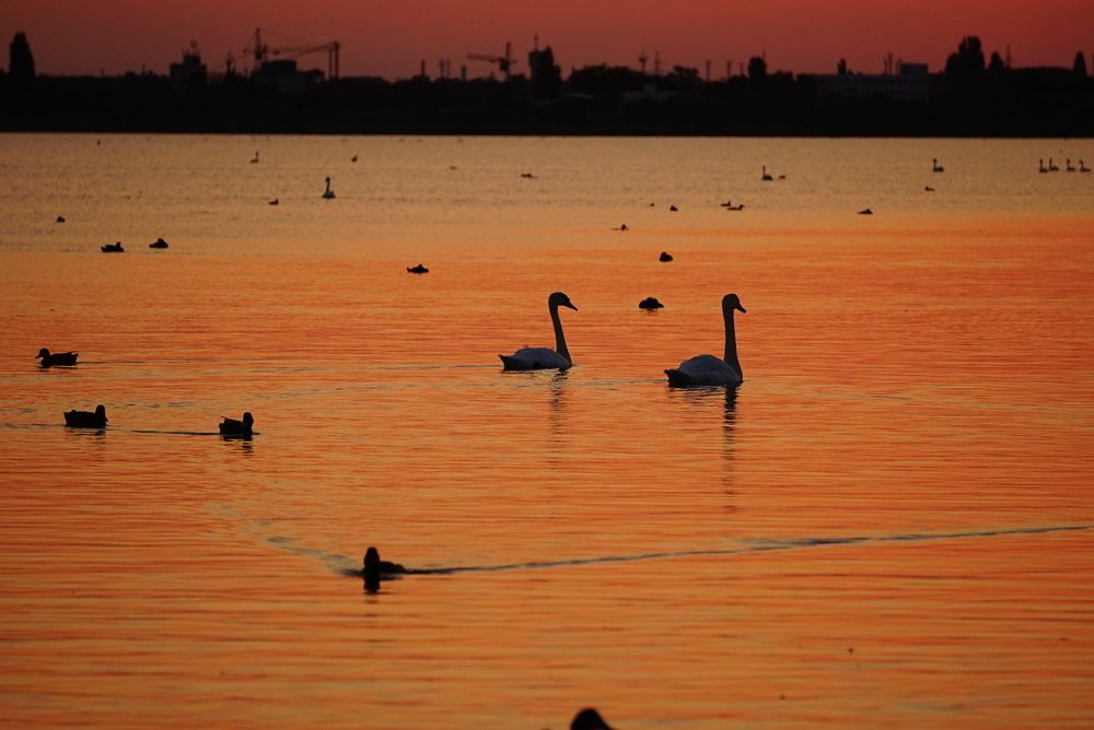 Photograph by Эвелина Моисеева