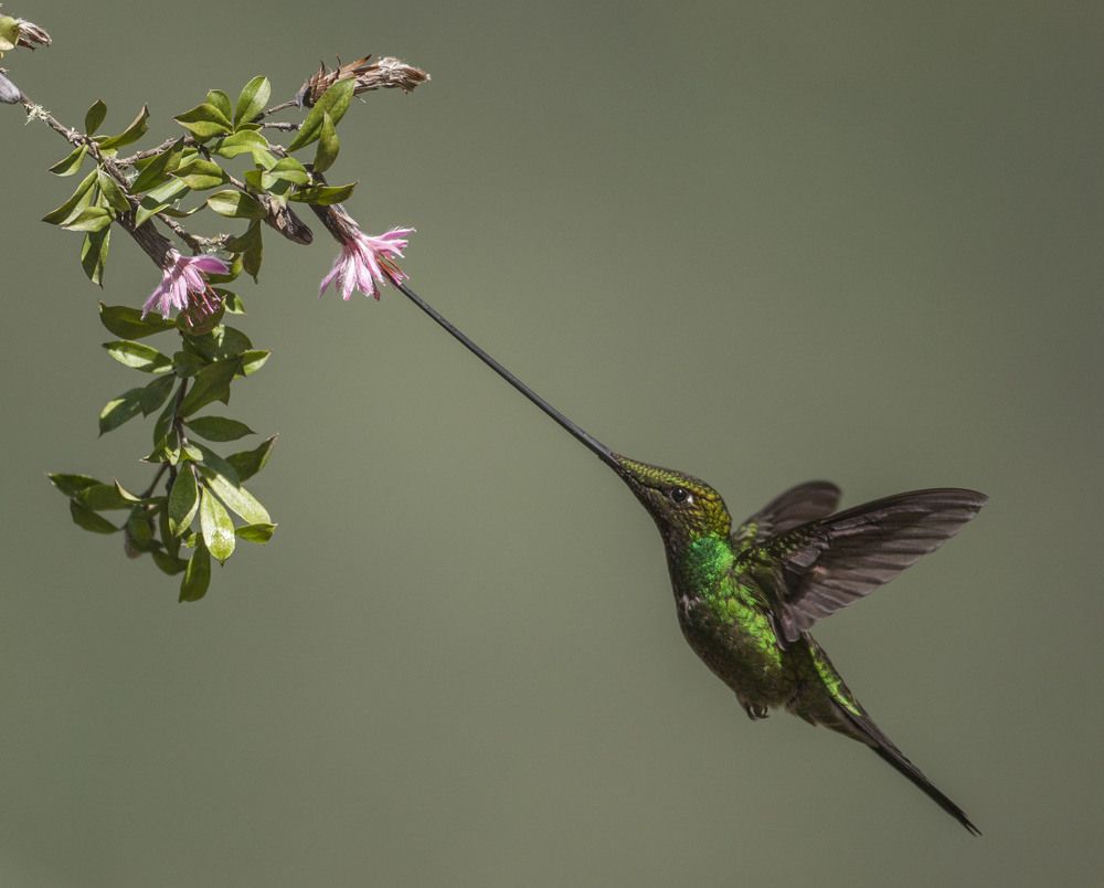 Photograph by Oskars Smelins