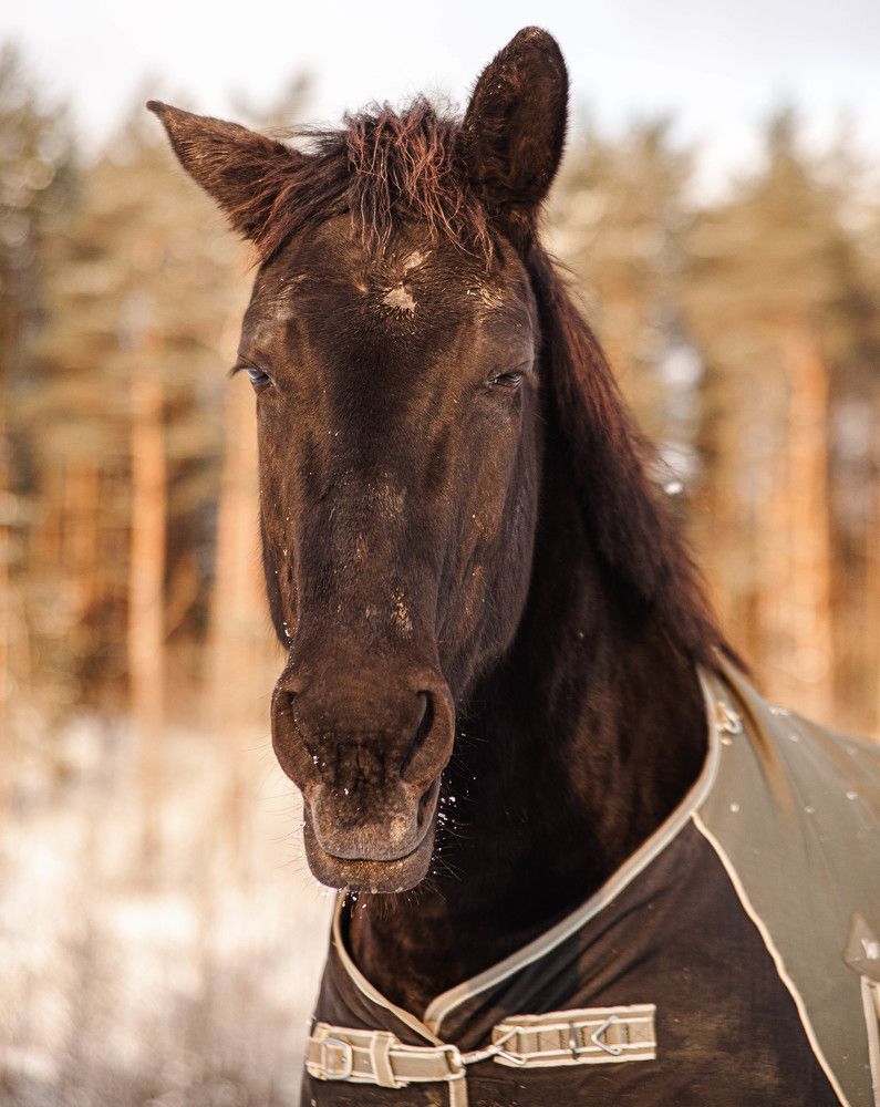 Фотография автора Aлексей Игнатьев