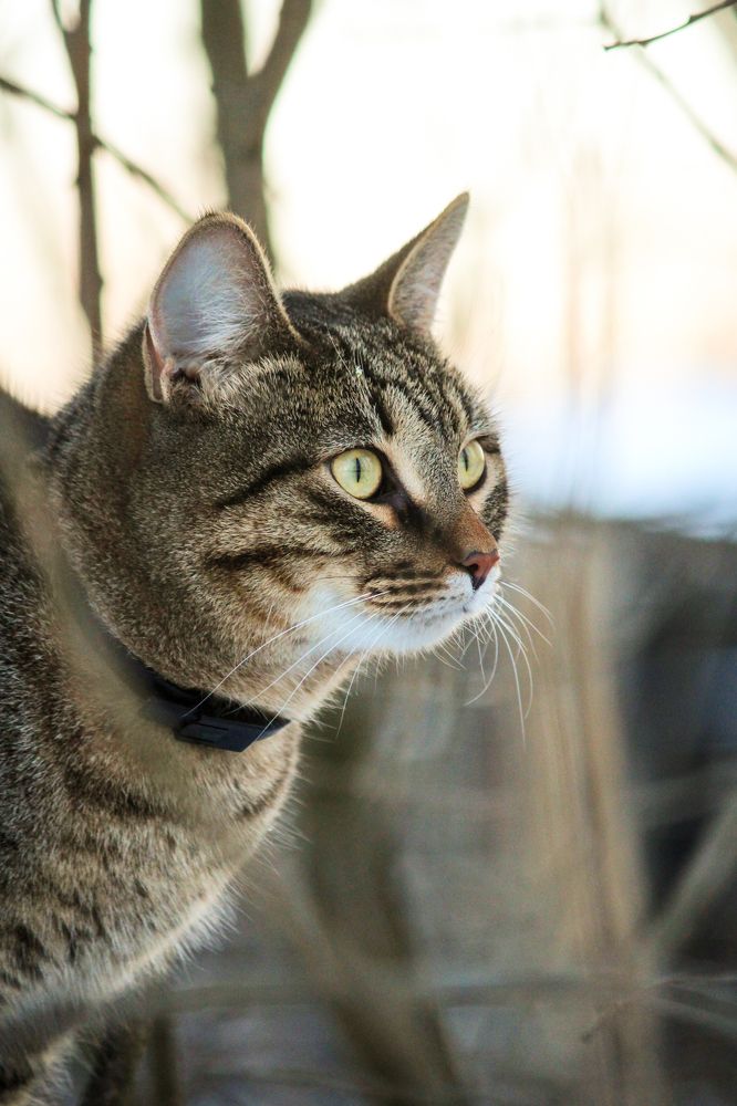 Photograph by Елена Верховская