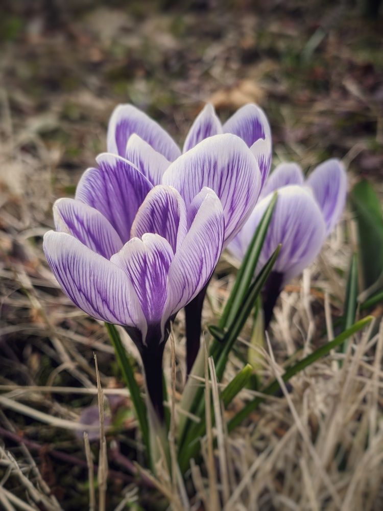 Photograph by Наталья Егорова